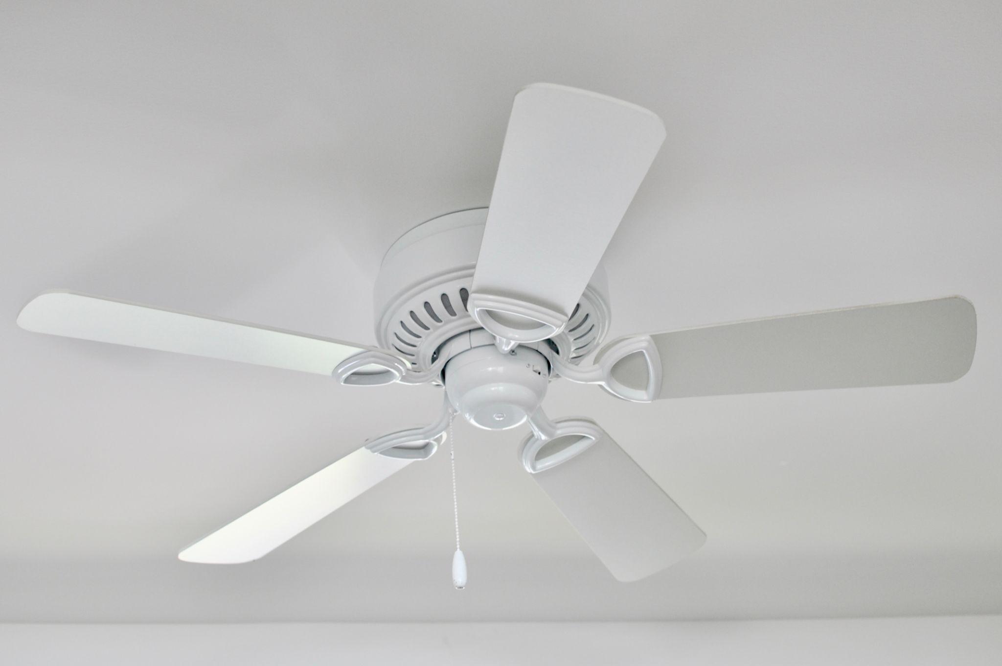 Ceiling Fan